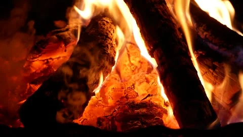 Campfire Burning Brightly at Night Video stock 344535213