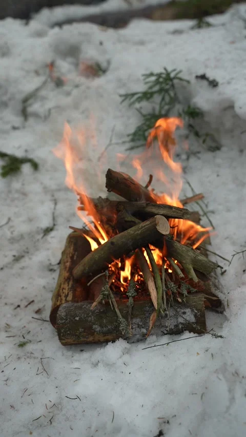 Campfire burning brightly on white snow in a winter forest. Logs and sticks Video stock 313292604