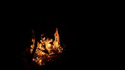 Campfire burning in a camp at a dark sky night Stock Footage 122048880
