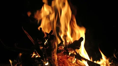 Campfire Burning closeup Stock Footage 160553938