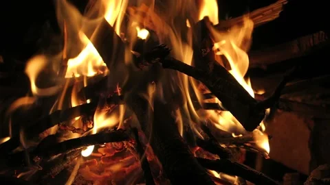 Campfire Burning closeup Stock Footage 162243961