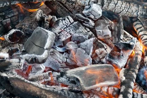 Campfire burning coal Stock Photos