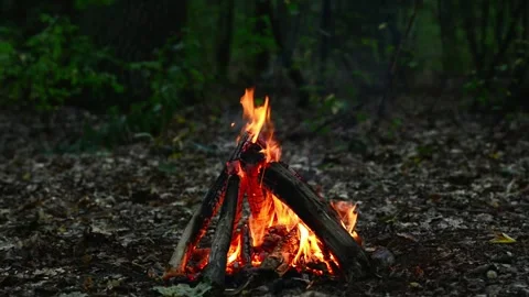 Campfire Burning in Dark Forest Seamless Loop with ASMR Sound Stock Footage 344951209