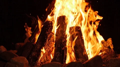 Campfire burning in the dark in slow motion Video stock 96087522