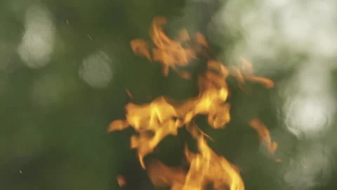 Campfire Burning Daytime - Slow Tilt - 120fps Stock Footage