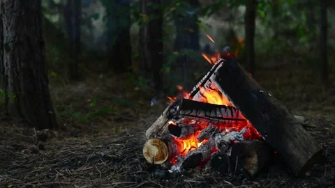Campfire burning in a deep forest with bright flames and smoking logs Stock Footage 345121557