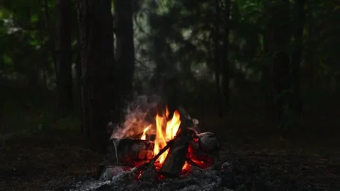 Campfire burning in the deep forest with bright flames close up Stock Footage 345121865