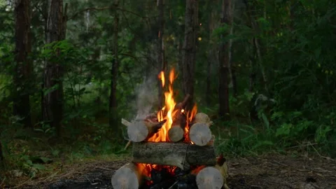 Campfire burning in a dense pine forest with stacked logs and smoke Stock-Footage 341682423