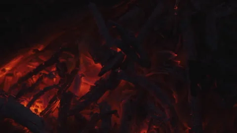 Campfire Burning Embers - Close-up, Take 1 - 120fps Stock Footage 131542863