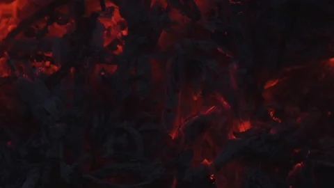 Campfire Burning Embers - Close-up, Take 2 - 120fps Stock Footage 131543877