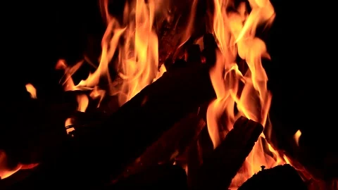 Campfire, burning fire close up  Stock Footage 196967256