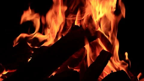 Campfire, burning fire close up  Stock Footage 196973038