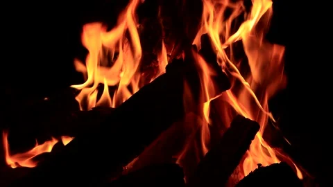 Campfire, burning fire close up  Stock Footage 203393042