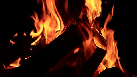 Campfire, burning fire close up  Stock Footage 203409569