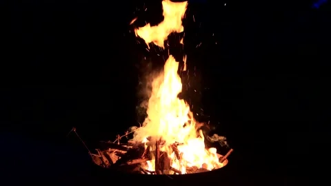 Campfire, burning fire close up  Stock Footage 241919237