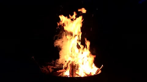 Campfire, burning fire close up  Stock Footage 244262390