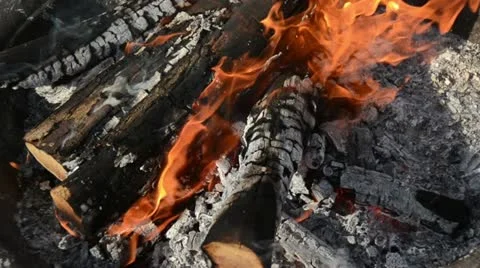 Campfire burning Stock Footage 22401904