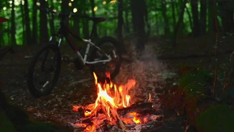 Campfire Burning in Forest with Bicycle in Background Stock-Footage 341980479