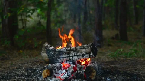 Campfire burning in the forest with bright flames and smoking logs 動画素材 345121369
