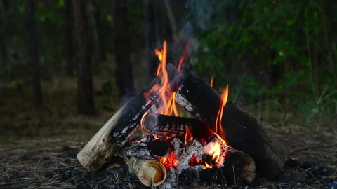 Campfire burning in the forest with bright flames and rising smoke 库存影片 345121522