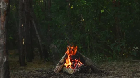 Campfire burning in the forest with bright flames and glowing embers Stock Footage 345121531