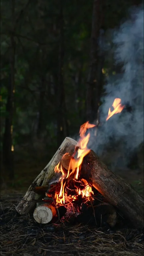 Campfire burning in the forest with bright flames and rising smoke Stock Footage 345121581