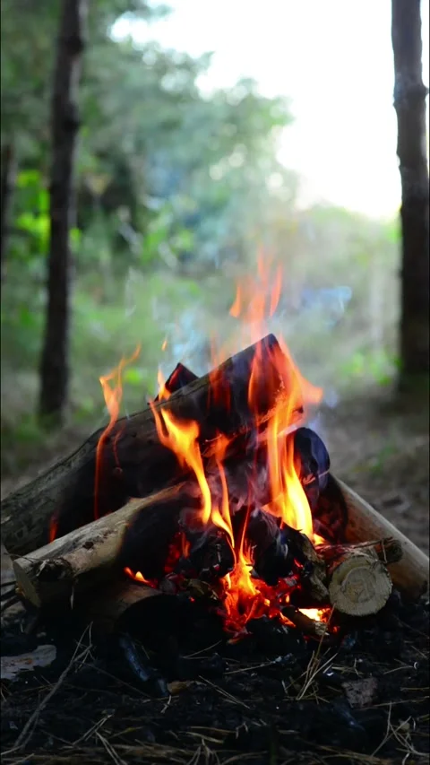 Campfire burning in the forest with bright flames and smoke close up 库存影片 345121861