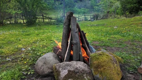 Campfire Burning at Forest Campsite. Cozy Outdoor Camping Atmosphere. Stock Footage 336560258