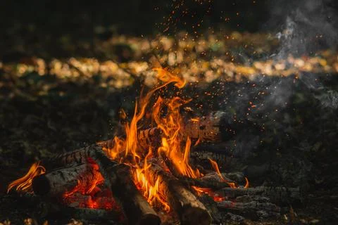 Campfire Burning in Forest Clearing Stock Photos