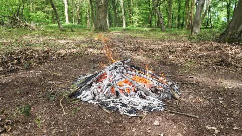 Campfire Burning in the Forest. Fire Burning Wood in the Campfire Stock Photos