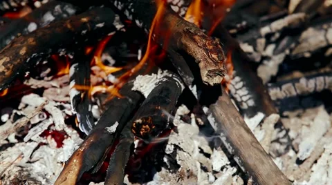 Campfire burning in the forest Video stock 61576271
