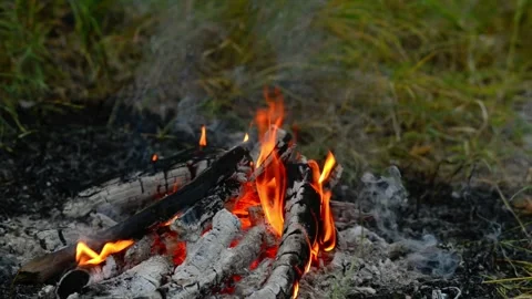 Campfire Burning on Forest Ground Seamless Loop Stock Footage 343343663