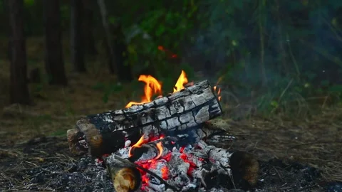 Campfire burning in the forest with logs and smoke close up Stock Footage 345121936