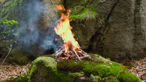 Campfire Burning in Forest with Mossy Rocks Video stock 316834044