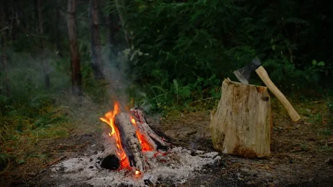 Campfire burning in a forest next to a log with an axe. Video stock 341977842