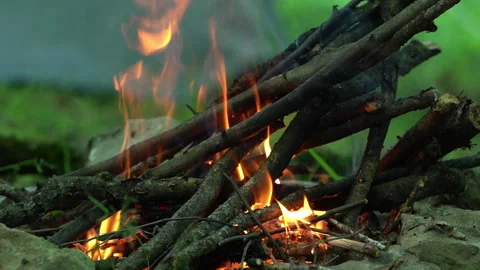 Campfire Burning in Forest Setting Video stock 310823899