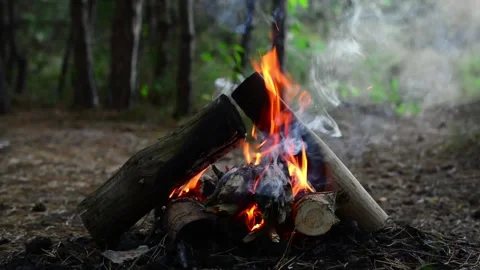 Campfire burning in the forest with smoke close up Stock Footage 345121971