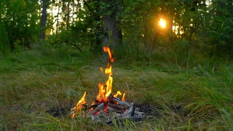 Campfire Burning in Forest at Sunset Seamless Loop Stock-Footage 342897887