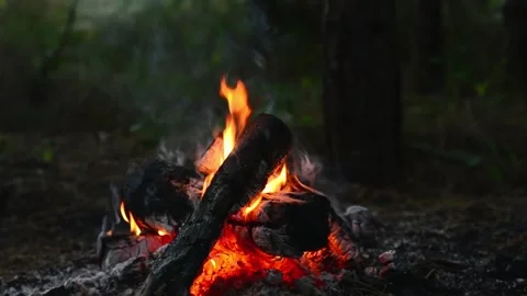 Campfire burning in the forest with tall flames close up Stock Footage 345121400