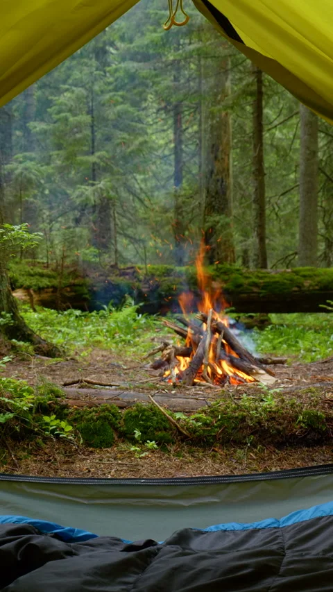 Campfire burning in forest viewed from inside tent Stock Footage 336432654