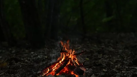 Campfire Burning in Forest Wilderness Nature Background Loop Video stock 343607830