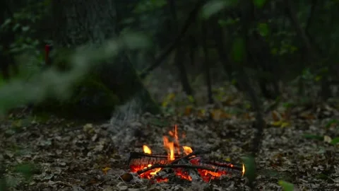 Campfire Burning in Forest Wilderness Nature Background Loop Stock-Footage 343607947