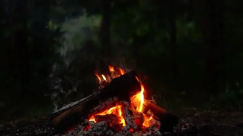 Campfire burning with glowing embers and smoke in a dark forest at night Video stock 341682462