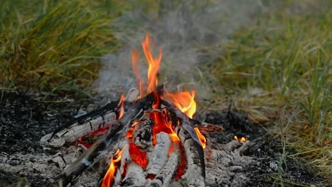 Campfire Burning in Green Forest Grass Seamless Loop Video stock 342897924