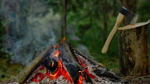 Campfire burning in a green forest next to a wooden block with an axe. Stock Footage 341977894