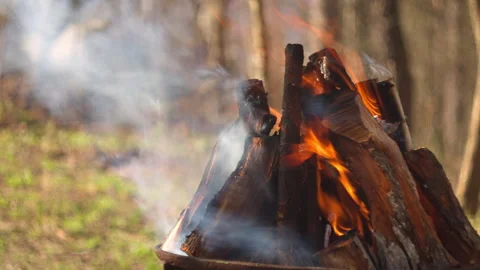 Campfire burning in grill, forest close-up, smoke rising, natural spring light 库存影片 332553748