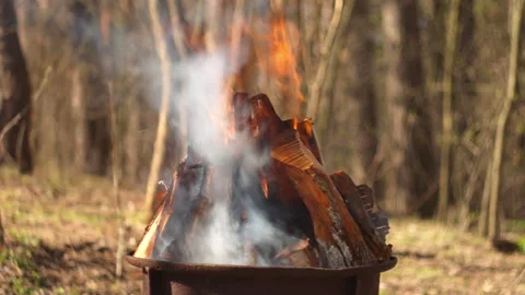 Campfire burning in grill, forest close-up, smoke rising, natural spring light Video stock 332553964