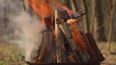 Campfire burning in grill, forest close-up, smoke rising, natural spring light Stock-Footage 332553965