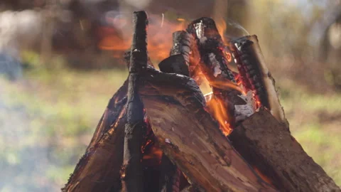 Campfire burning in grill, forest close-up, smoke rising, natural spring light Video stock 332554134
