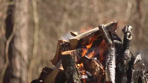 Campfire burning in grill, forest close-up, smoke rising, natural spring light Video stock 332554287